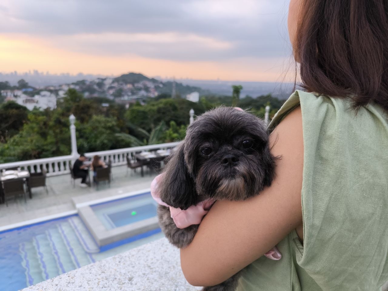 Sunset view of the city with my dog Ginger